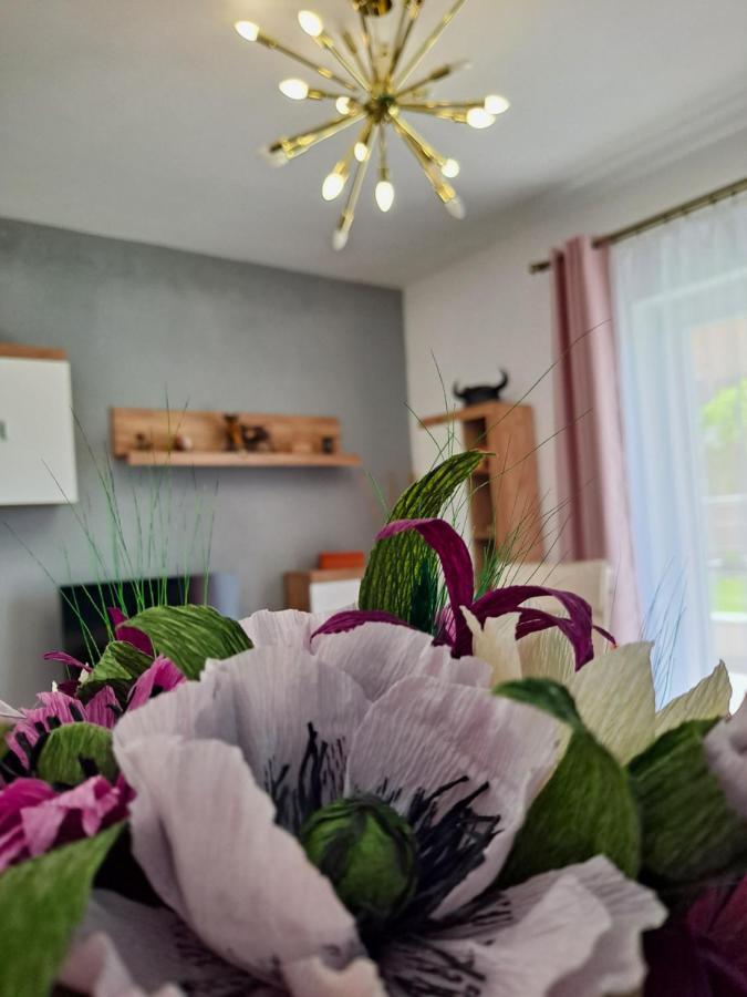 Green View Bella Vista Брашов Екстериор снимка